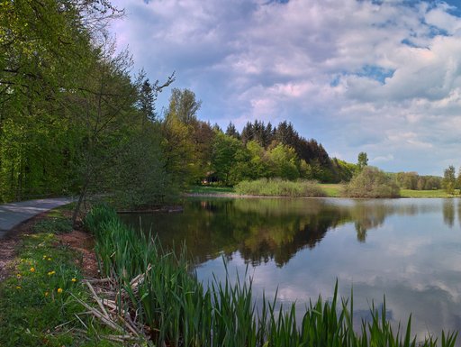 Blick auf den Roberner See